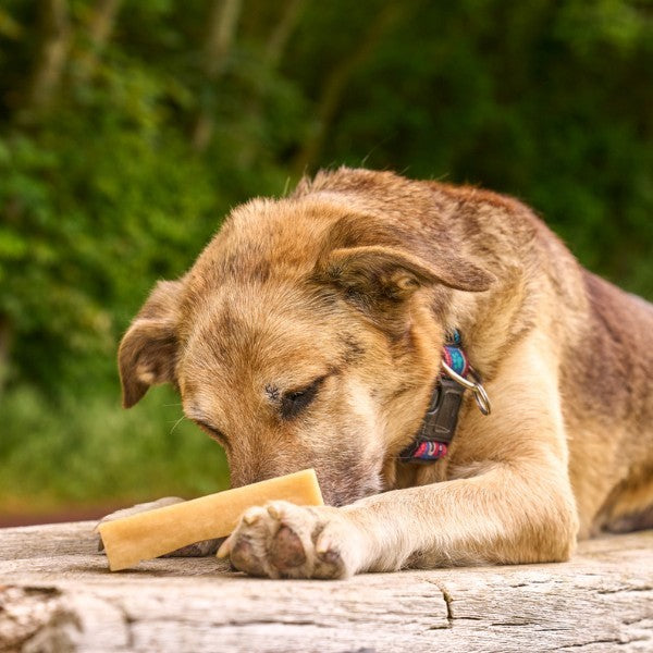 Petello Yak Cheese with Coconut Dog Chew 35g