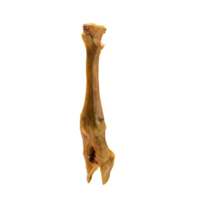 Doodles Deli Air Dried Lamb Foot 1kg