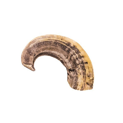 Doodles Deli Air Dried Ram Horn 1kg