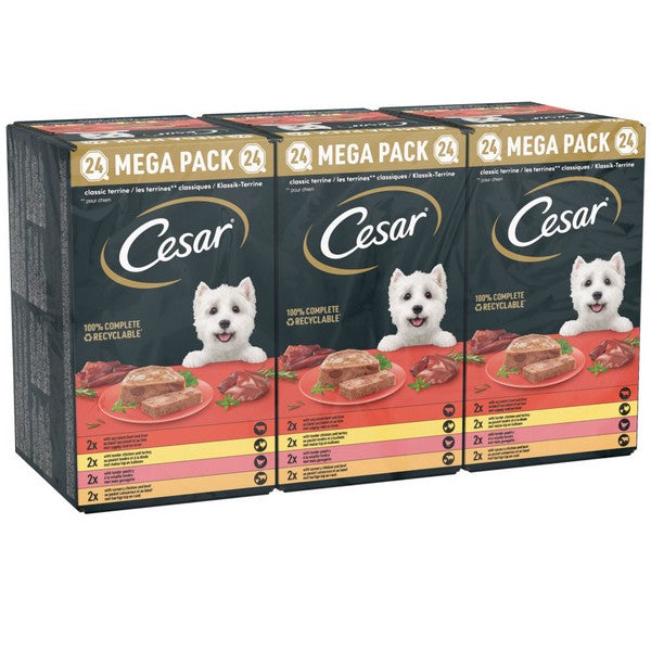 Cesar Classics Terrine Mixed Selection 24x150g