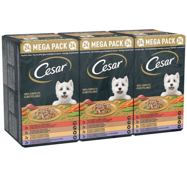 Cesar Country Stew with Chicken & Vegetable in Gravy 24x150g