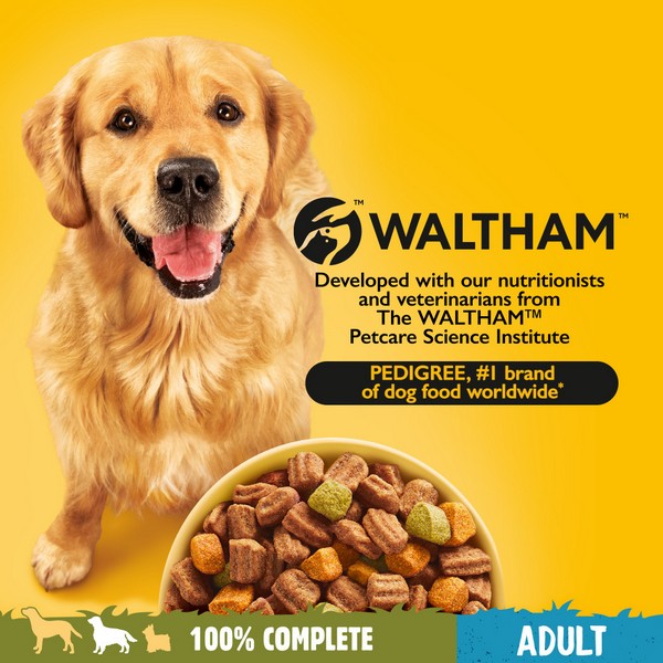 Pedigree Dog Complete Dry with Chicken and Vegetables 3kg