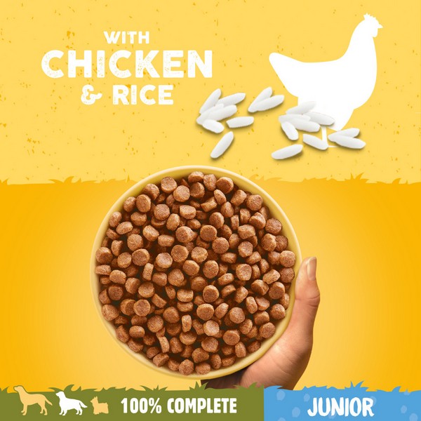 Pedigree Puppy Medium Dog Complete Dry with Chicken and Rice 12kg