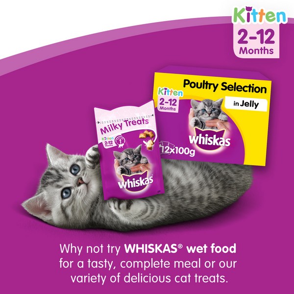 WHISKAS 2-12mths Cat Complete Dry with Chicken