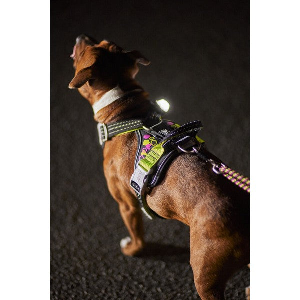 Hurtta Weekend Warrior Neon Harness Licorice 45-60 cm