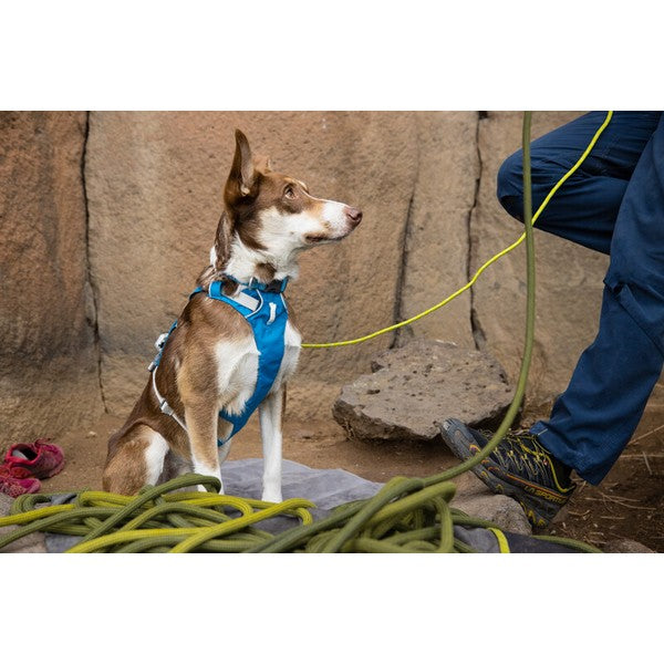 Ruffwear Flagline Harness