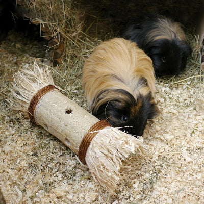 Rosewood Loofa Toss n Treat Roller