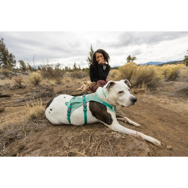 Ruffwear Flagline Harness