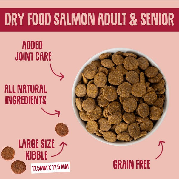 Scrumbles Dry Dog Food Adult Salmon 2kg