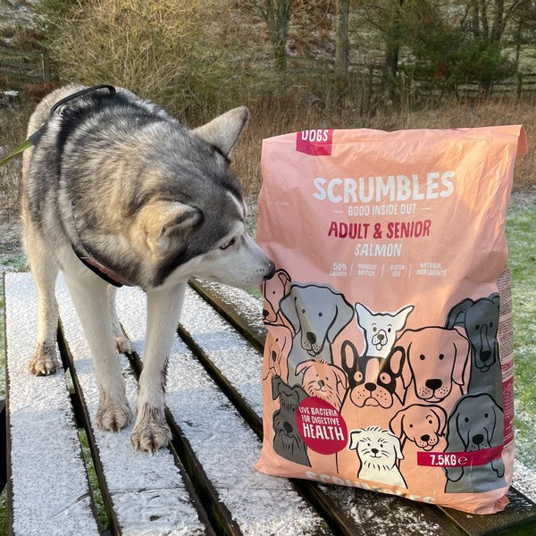 Scrumbles Dry Dog Food Adult Salmon 7.5kg