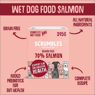 Scrumbles Wet Dog Food Salmon 395g