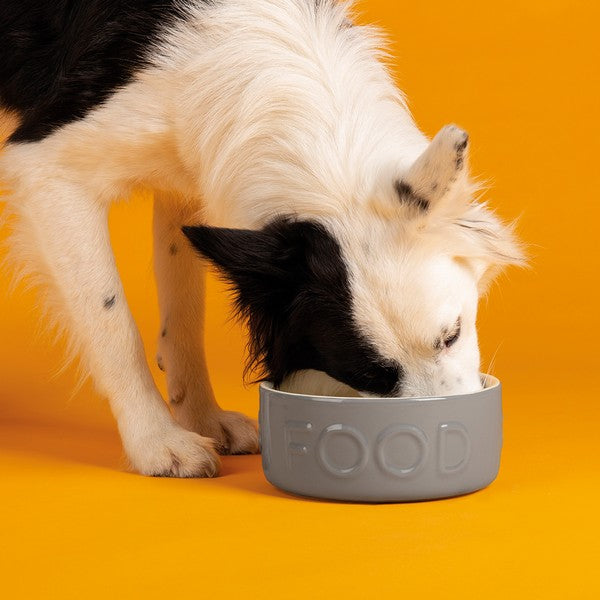 Scruffs Classic Food Bowl 25cm