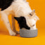 Scruffs Classic Food Bowl 13cm