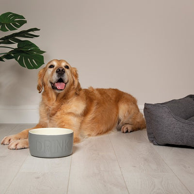 Scruffs Classic Water Bowl 20cm