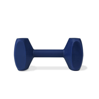 CoA Coachi Training Dumbbell Navy Small