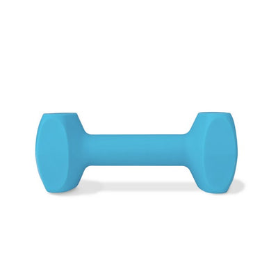 CoA Coachi Training Dumbbell Light Blue Large