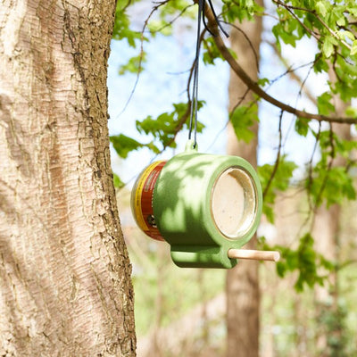 Harrisons Peanut Butter Jar with Mealworms