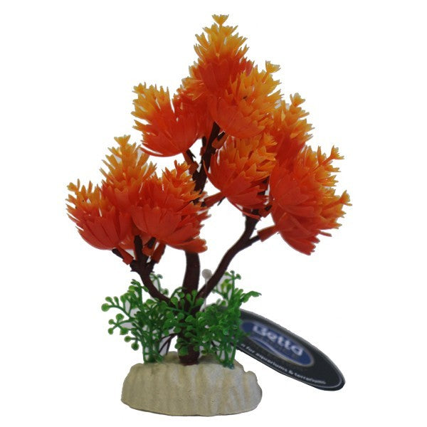 Betta 5Inch Orange Tree