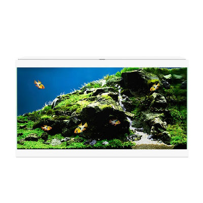 Ciano Aquarium 60 LED White 58L