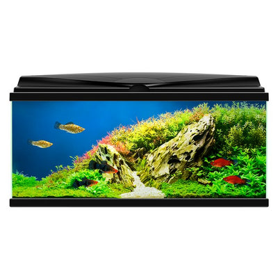 Ciano Aquarium 80 LED Black 75L