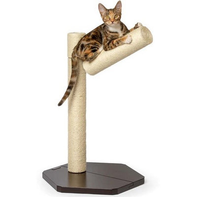 PetFusion Branch Out Scratching Post