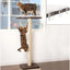 PetFusion Cat Window Perch