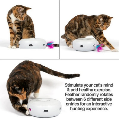 PetFusion Ambush Interactive Electronic Cat Toy with Rotating Feather