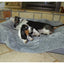 PetFusion Premium Plus Medium Dog Blanket 107x86cm Reversible