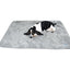 PetFusion Premium Plus Medium Dog Blanket 107x86cm Reversible