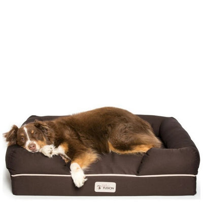 PetFusion Ultimate Solid Waterproof Memory Foam Dog Bed for Medium and Large Dogs (36 x 28 x 9 inches)