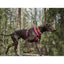 Hurtta Casual Y-Harness ECO Ruby 45-55