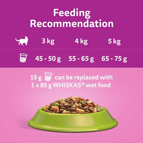 Whiskas 1+ Complete Dry Cat Food - Multiple Flavours