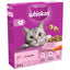 Whiskas 1+ Complete Dry Cat Food - Multiple Flavours