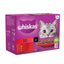 WHISKAS 1+ Cat Pouches in Gravy