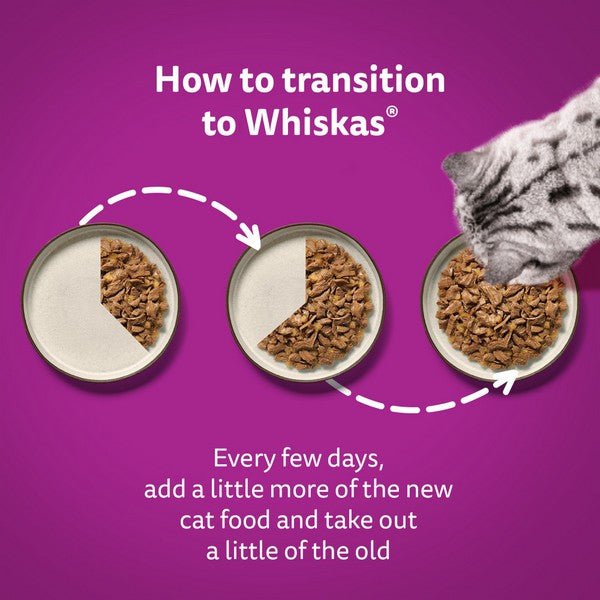 WHISKAS 1+ Cat Pouches in Gravy