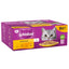 WHISKAS 1+ Cat Pouches in Jelly - Multiple Flavours