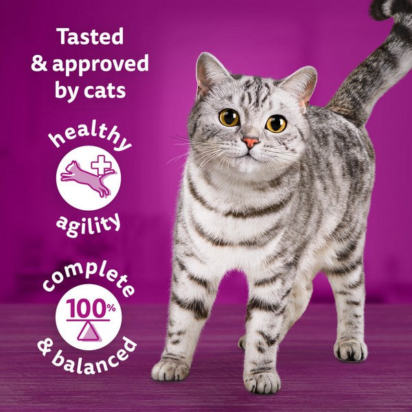 WHISKAS 1+ Cat Pouches Tasty Mix Chef Choice in Gravy 40x85g