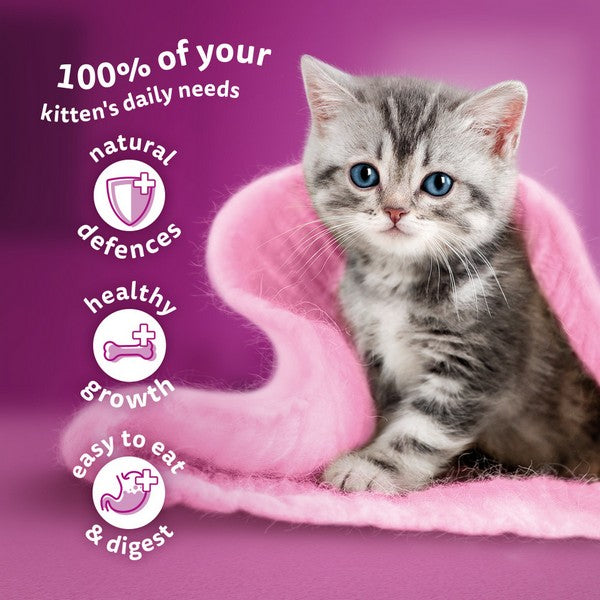 WHISKAS 2-12mths Mixed Menu Cat Pouches in Jelly