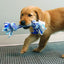 KONG Rope Tug Puppy Assorted Medium