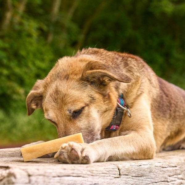 Petello Yak Cheese with Peanut Butter Dog Chew 115g