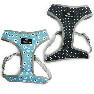 Ancol Soho Patterned Harness