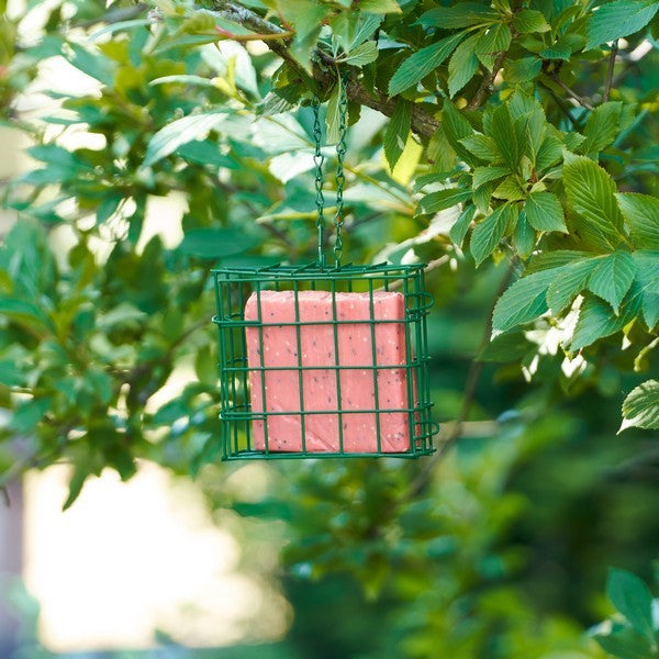 Harrisons Suet Block With Berries Box (10x 280g)