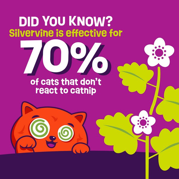 Mad Cat Sloth with Silvervine