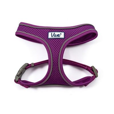 Ancol Viva Comfort Dog Harness Purple XS 28-40cm