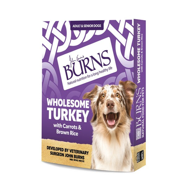 Burns Wholesome Turkey Wet Dog Food 395g