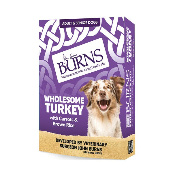 Burns Wholesome Turkey Wet Dog Food 150g