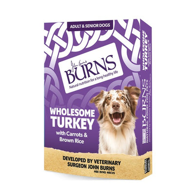 Burns Wholesome Turkey Wet Dog Food 150g