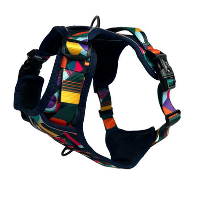 Twiggy Tags Adventure Harness Aurora Size 1 Chest girth 25-50cm