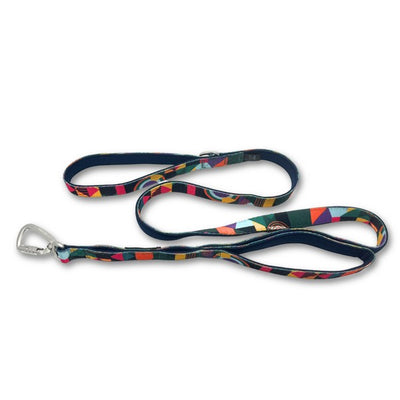 Twiggy Tags Adventure Lead with Close Control Handle Aurora 1.5m