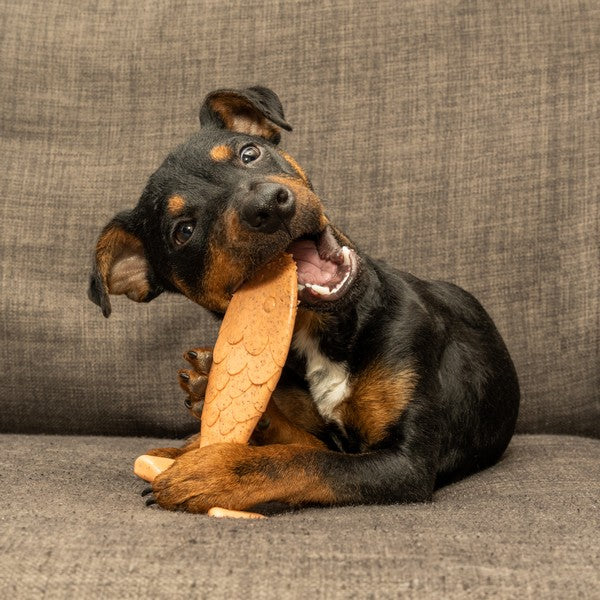 Bamboodles Fish Puppy and Moderate Chewers Small